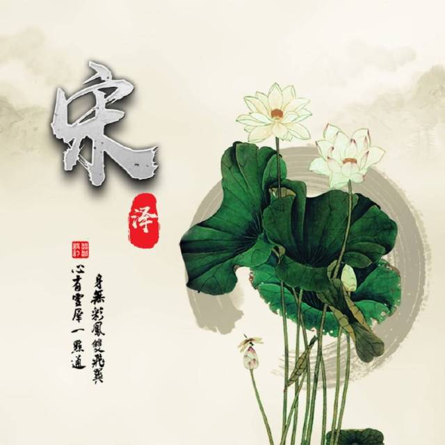 《荷花》微信头像,18张百家姓头像,锁屏壁纸,一定不要