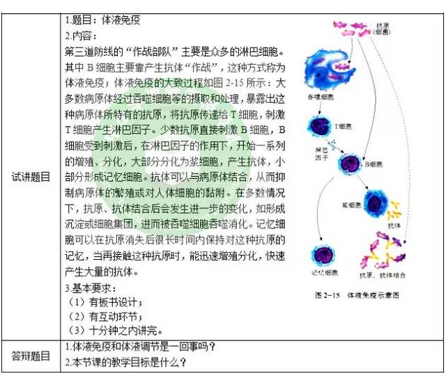 高中生物《体液免疫》