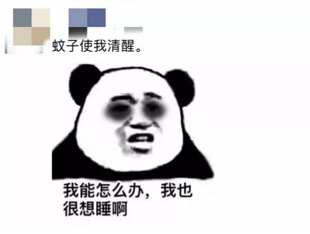 华立学子表示已被蚊子虐得体无完肤,搞得精神分裂了!