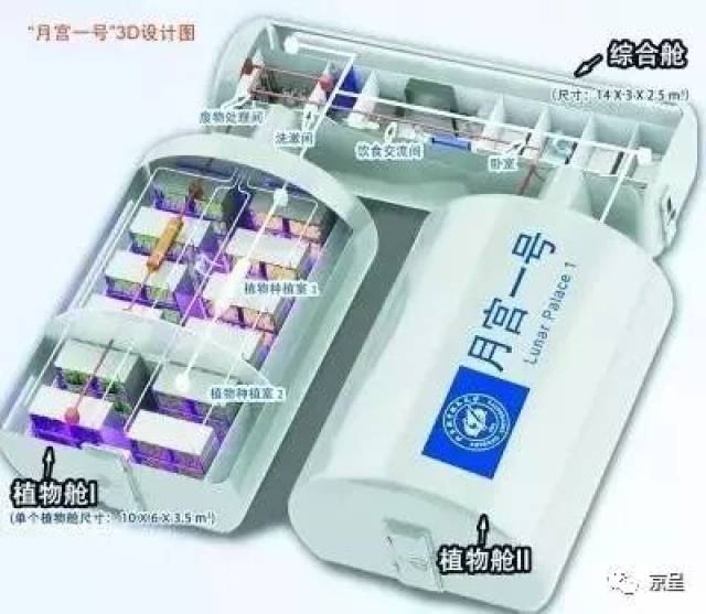 月宫一号：出舱！370天密闭，就靠自己种的蔬菜