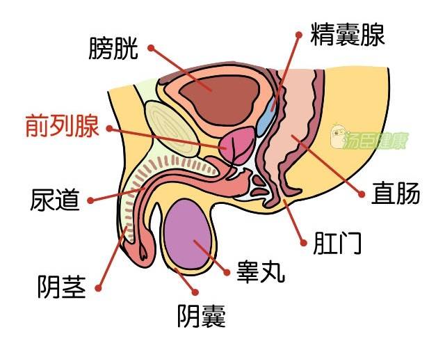 男人不能输在前列腺它最怕的3件事希望你都中招