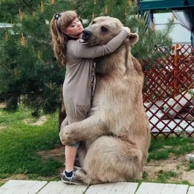 熊:不敢动,不敢动