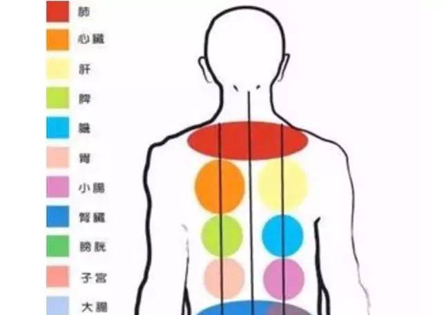 c95788d127e749f4b015dc82f1937fb9.jpeg