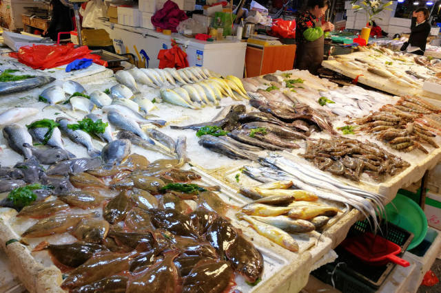 青岛武夷山路海鲜市场 即使休渔期内也是品种繁多 价格适合各档次