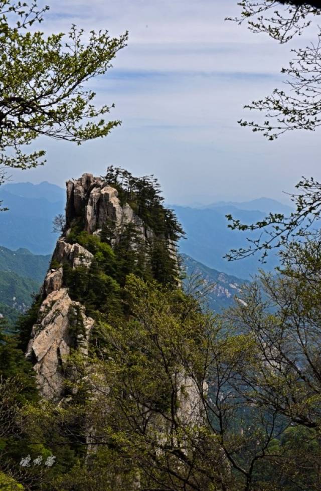 "北方张家界","中原仙境"千年紫杜鹃惊艳"刘姓起源地"
