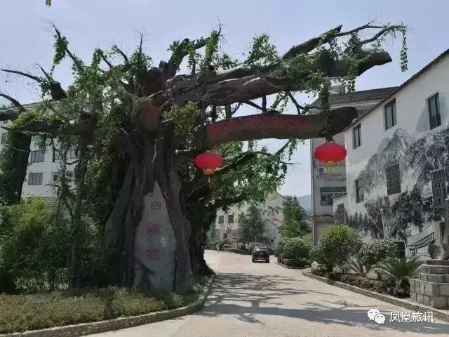 走进白溪湾,蘑菇采摘园,蘑菇体验园,无动力游乐场依