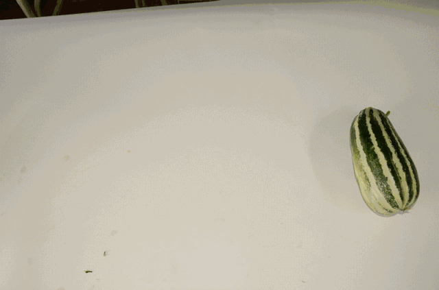 640_423gif 动态图 动图