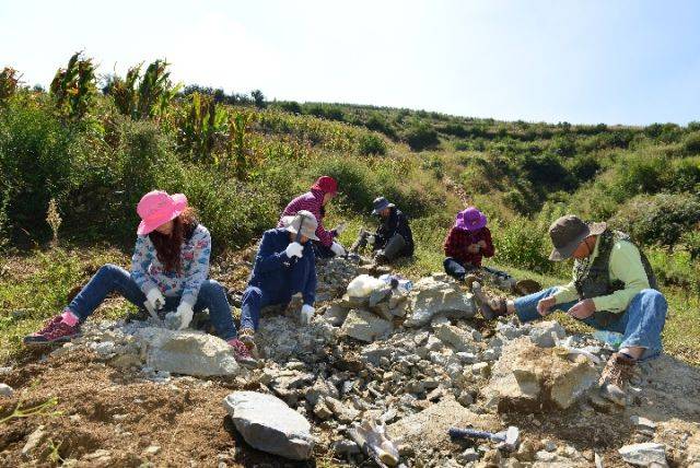 古生物学家:人类的鱼祖先可能起源于云南曲靖
