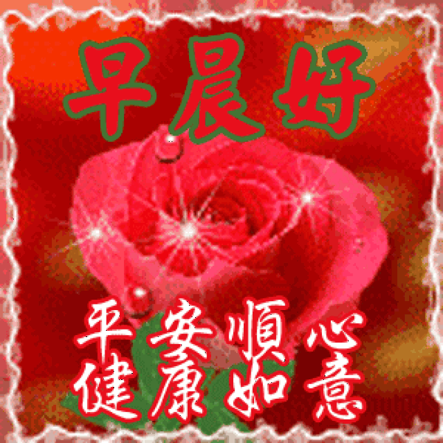 300_300gif 动态图 动图