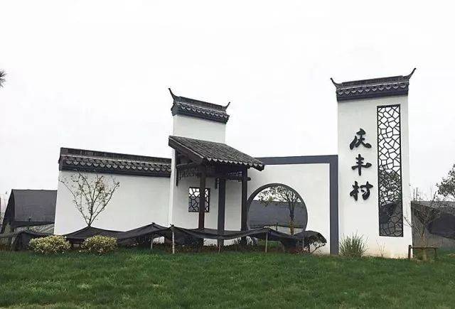 打造"两美"小村——王店镇庆丰村"三治"建设小记