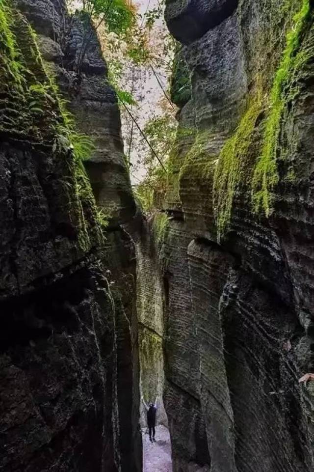 宽阔十二背后油桐溪大地缝,有太多的传说"十二背后"这个称谓并没有一