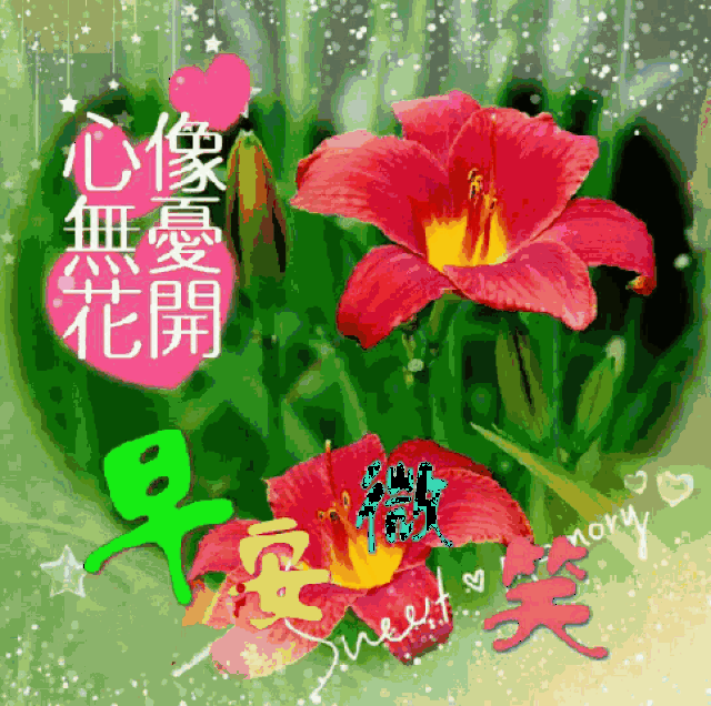 ͼƬ´ڴ򿪲鿴