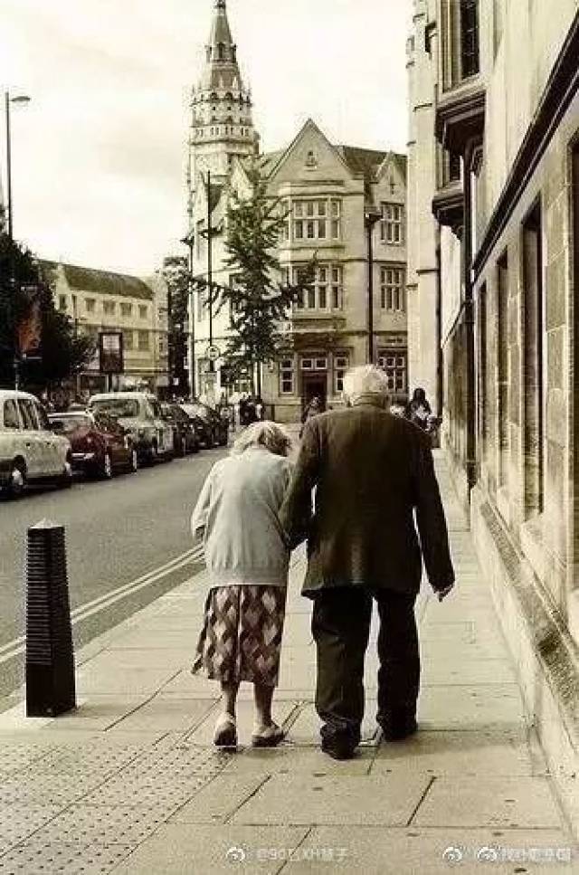 我只羡慕牵手散步的老人,因为我知道,谈一场白头偕老的恋爱是有多不