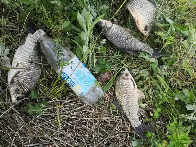 接下来就要介绍平时钓鱼的这两个水库了,一个是梅山水库,一个是响洪甸
