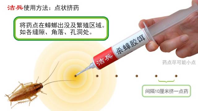 如何快速去除蟑螂 defb4346f4fc415b8c6dba8c3cd3457a.jpeg