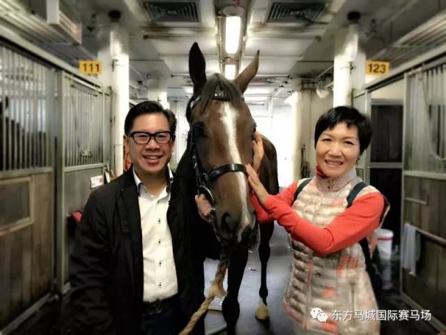 【人物专访】香港马主武汉赛马初体验