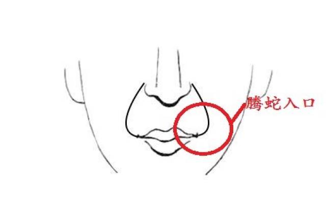 如果法令纹有向嘴中延伸趋势的话在面相学上就叫"腾蛇入口",是一种不