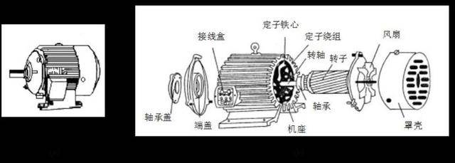 三相异步电动机结构示意图