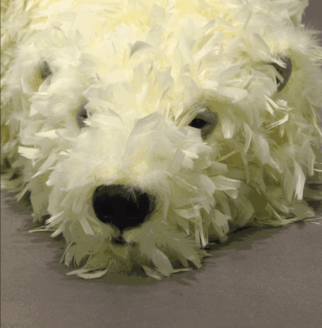 你的手机壁纸该换了!