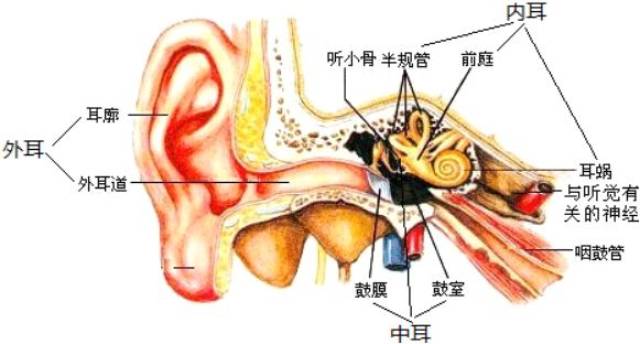 专家说:经常这样挖耳朵,这样擤鼻涕的人容易得耳病?