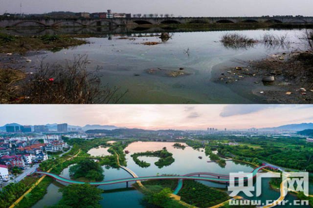 锡箔,废塑,养殖和生活垃圾"五害"包围,生态环境严重破坏,村民依靠外出