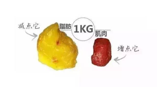 因此真正的减肥,其实减重不是,原理减脂!瘦身茶减肥而是图片