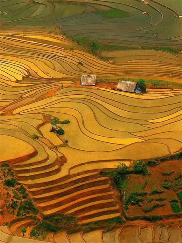 锦绣大地,绝美色彩,最佳壁纸