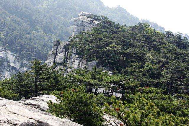 湖北必去的旅游景点, 你们都去了吗?