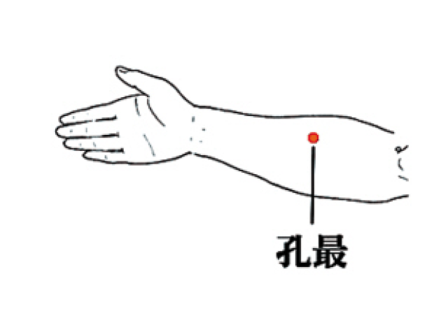 位置:孔最穴位于伸臂侧掌,在尺泽与太渊连线的中点上一横指处.