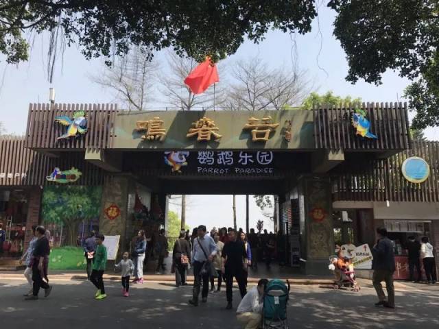 鸣春谷是个怎样的景区? 那是一个有鸟类,有森林 还有故事的景点