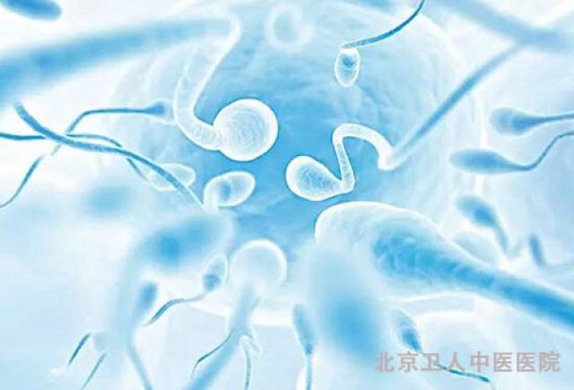 精子能存活多长时间