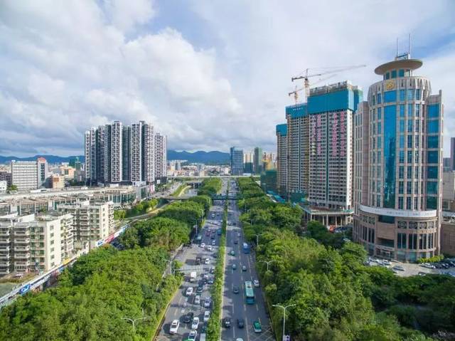 创建国家森林城市,龙岗是认真的!