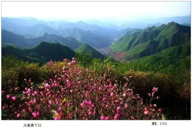 即5月19日(节庆活动开幕式日,黄丫口赏杜鹃花,初定6月8日(铜匠峪赏