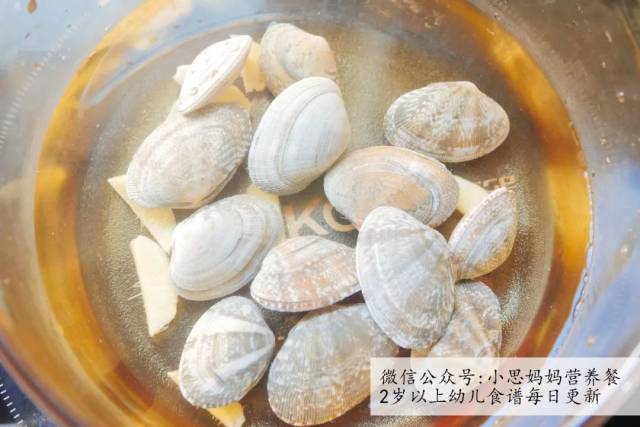 辅食故事:花蛤冬瓜汤猴子和猫的食谱图片
