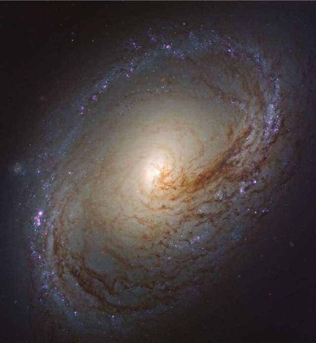 nasa刚刚发布了来自哈勃太空望远镜的新星系
