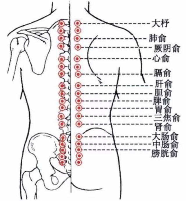 5寸处;关元穴在下腹部正中线上,脐下3寸处.