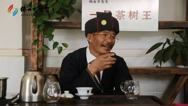 从茶叶收购员到千万富翁,从"乞讨村"到年流水过亿,杨永平与老班章村