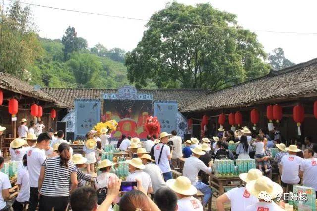 感受丹棱石桥枇杷节,带你走进幸福感十足的黄家大院