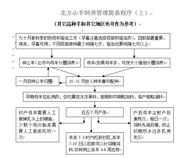 养羊流程图上,南北方养羊人都可以着情参考!