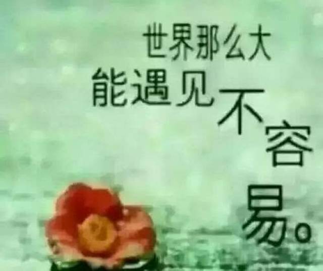 又到一年的5月20日感谢生命中的你,有你真好!