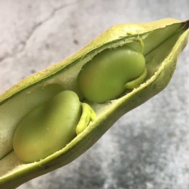 春天正是蚕豆上市的季节,趁着新鲜买来尝一尝,将蚕豆夹掰开,新鲜的