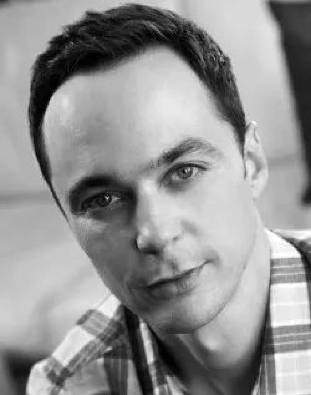 豪华的卡司阵容包括:吉姆·帕森斯(jim parsons),马特·波莫(matt