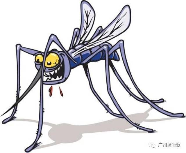 【跨种的族爱情】到底蚊子,为什么如此迷恋你?