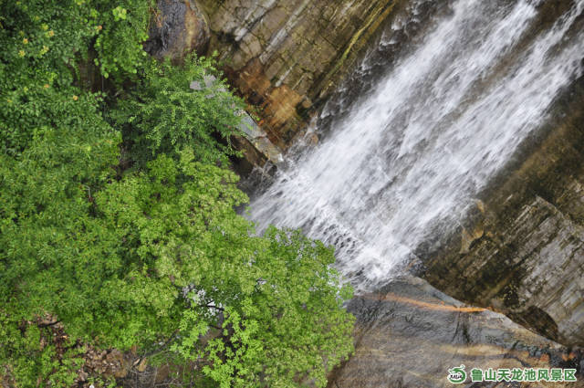 天龙池风景区内不仅山美景美,景区内还有8公里画廊式亲水景观