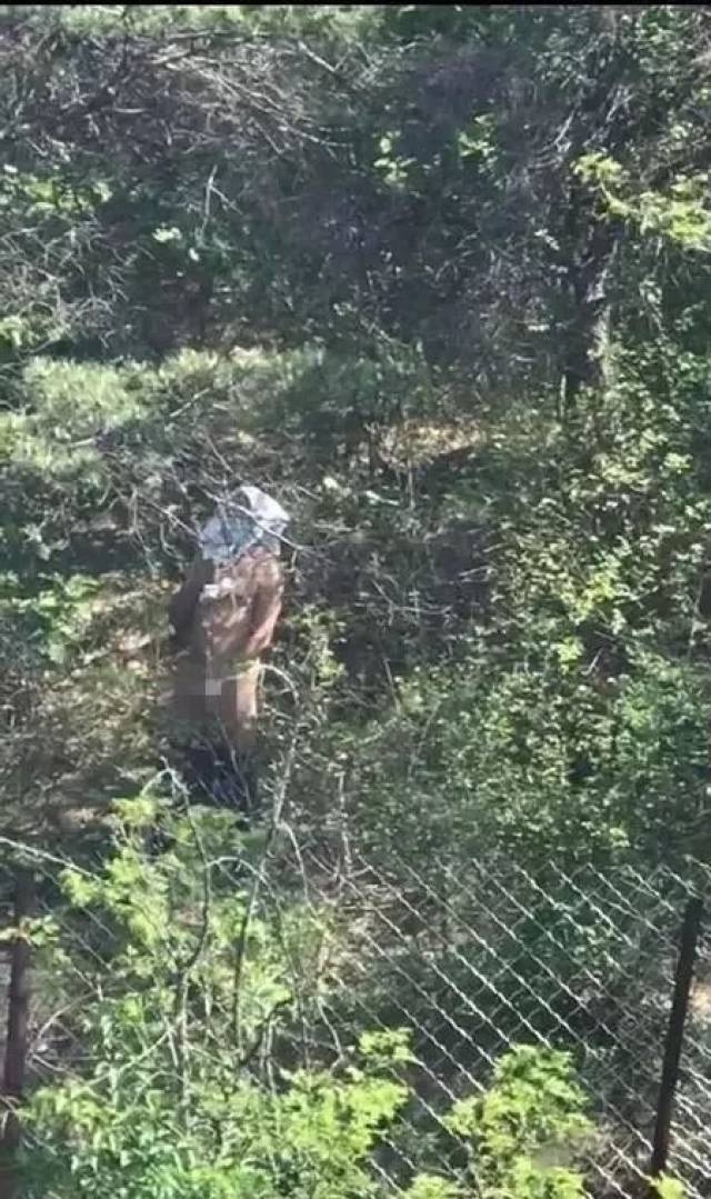 辽师再现山坡裸男,赤身对女生打飞机,辣眼睛!