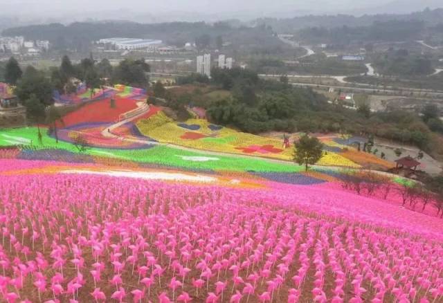 门票无限免费送!涟源市博盛生态园开园倒计时!花海,热气球,我们约起!