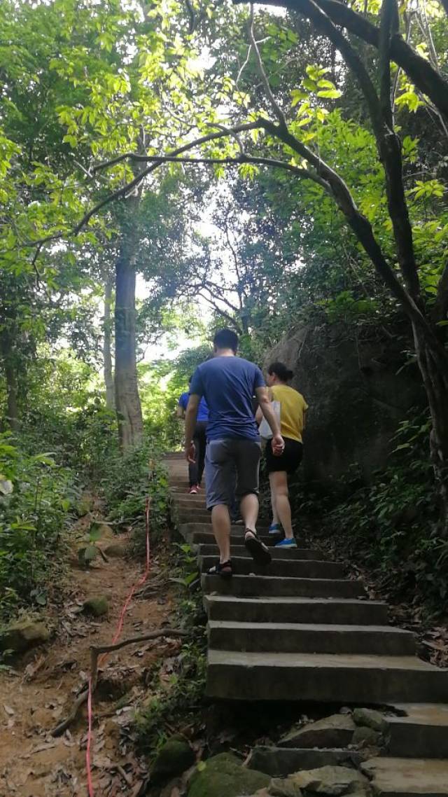 湖南工程学院广州的学员组织爬山