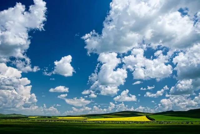 windows开机画面的经典壁纸,就是一片一望无际的绿色草原,蔚蓝的天空