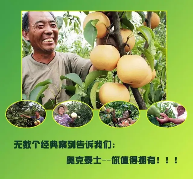 水果如何进行杀菌保鲜才能降低在贮藏及运输过