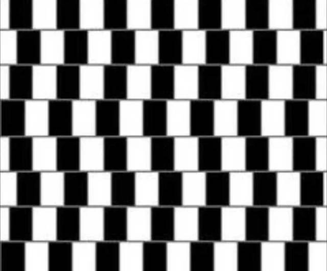 这张神奇的视觉图也叫 黑林错觉,其实图中的每一条横线都是水平的直线